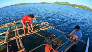P3 - NILINIS ANG BULSA NG ATING BUNGSOD