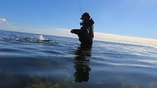 Havørredfiskeri - Kystens gyldne damer.