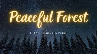 Winter Vibes: Piano and Gentle Winter Rhythms for Deep Focus| Winter Music| January 2025 Vol.4