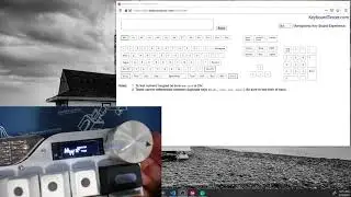 Mech Wild Mercutio encoder key selection