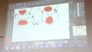 تشريح 2- ‫الحوض والعجان 2 د بيان السيّد‬