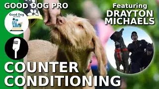 [COUNTER CONDITIONING]: Reducing Stress in Your Dog w/ Drayton Michaels | Good Dog Pro Ep #6 (2019)