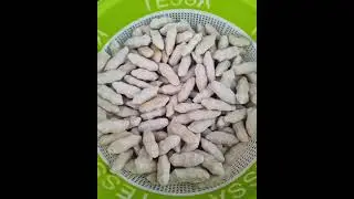 زندگی روستا؛ ساده، زیبا و پر از زندگی 🌾✨  آخر ببین ی لایک و یه کامنتم بذارتا این فیلم بیشتر دیده بشه