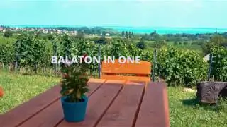 Balaton wine region in one word