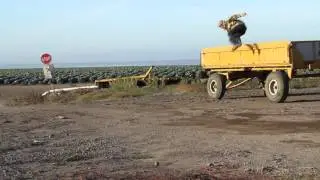 Red Bull Bracket Reel Rd.1