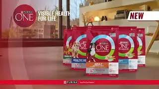 NEW PURINA ONE&reg; Dry Dog Food Advanced tailored nutrition for dogs.