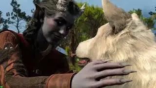 Baldur's Gate 3 - Pet the damn dog