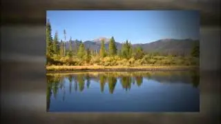 Explore One of the Many Colorado Ranches for Sale | (303) 623-4545