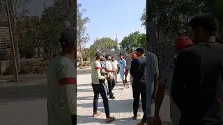बदमाश kabootar #pigeon #trandingshorts #ytshorts #trendinglive #trend #viral #shorts #trending