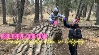 BEBO GROVE LOOP TRAIL - A FAMILY FRIENDLY HIKE IN CALGARY, A HIDDEN GEM IN THE CITY