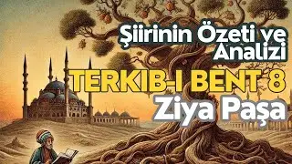 Unveiling Ziya Paşa's Wisdom: 'Terkib-i Bent 8' Explained 📜✨