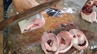 FISH CUTTING GREY MULLET fish cutting #trendingvideo