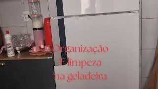 Organizando e limpando minha geladeira