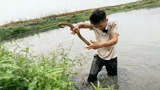 摸一邊十多斤！這塘的魚獲，絕對讓你們驚掉下巴！#fishing #大熱門