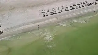 Marco Island Beach, Florida , Gulf of Mexico