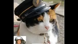 COMO NOS CONTABA LA ABUELA - ABUMARY - EL GATO POLIC&Iacute;A- EL RONRONEO DE LOS JUEVES