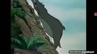 bagherra!!!!!