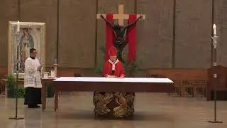 Holy Mass: Palm Sunday of the Lord's Passion