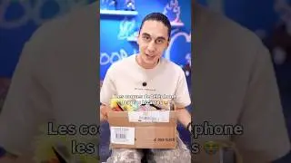 Les coques de Téléphone les plus Bizarres du Monde…