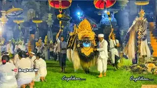 Tedun Napak Caru Ida Bhatara Sami Jagat Tanggahan Peken, Susut Bangli, Bali