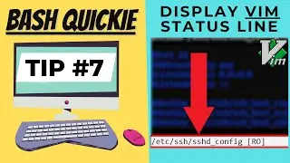 Display VIM Status Line
