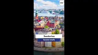 Polish MEP: Sweden has become unsafe