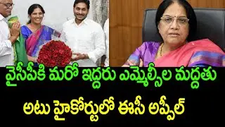 AP SEC Appeal division bench over single bench order on parishad election || Ramnath Media