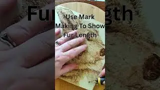 How To - Pyrography Tip 1 #animalart #pyrography #pyrographyart #drawing #art #howto