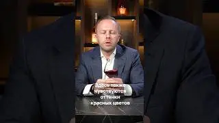 Дегустируем вино Marco Abella Mas Mallola