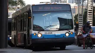 STM 23-204 Ride On Route 168 Cit&eacute;-Du-Havre! (2003 NovaBUS LFS Ride)