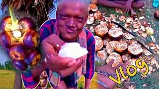 Palm Fruit Iuice //🌳 Tal Ka Ped 😍 // Tal Bengali Fruit In Hindi 🥰 // Tal Village #village #tal