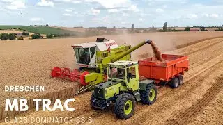 MB Trac 1000 | Claas Dominator 88 s | Dreschen 2020 | [Sound]