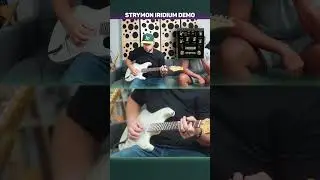 Strymon Iridium