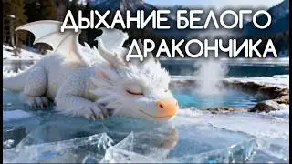 Дыхание белого дракончика под легкую эпическую музыку.