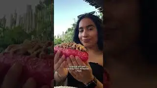 What I eat as a vegan | food markets in Cape Town #chef #foodie #capetown