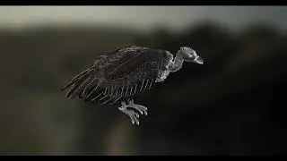 Vulture 3D Model showreel by Milton Ray