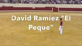 Recortes Alcalá de Henares tercer toro
