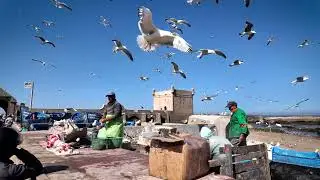 Morocco Through the Streets | Food, Culture & Hidden Tourist Gems 🇲🇦