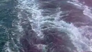 De Noordzee 4