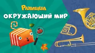 Развлечёба. Окружающий мир. Про музыкальные инструменты