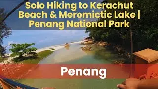 Solo Hiking to Kerachut Beach | Meromictic Lake | Penang National Park