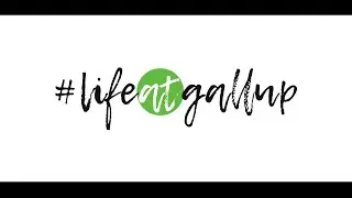 Life at Gallup
