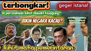 TERBONGKAR!16 PERUSAHAAN TAMBANG DAN SAWIT MILIK OPUNG LUHUT PERUSAK HUTAN SIAP DIAUDIT KEJAGUNG? 