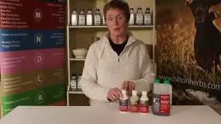 Canine Releaf - Herbal Mobility Supplement for Dogs - Product Description