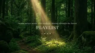 ℙ𝕃𝔸𝕐𝕃𝕀𝕊𝕋🎵Eternal Forest Peace: NEW AGE Piano for Inner CALM, MEDITATION & RELAXing Sleep music