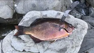 CATCH and COOK | Grill Fish Over Campfire | Ft. Fisherman&rsquo;s Life