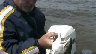 Mid-July Salmon Fishing
