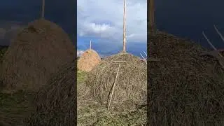 Ручная заготовка сена на зиму