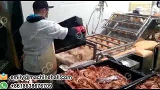 How To Clean Shrimp?Commercial Fruit And Vegetable Washing Machine
