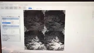 Demo of Multispectral Camera for Precision Agriculture